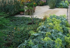 Kleur van huis terugkomend in de tuin, Culemboorg