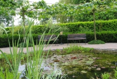 -helder-  Water in uw tuin, dit geeft altijd leven!