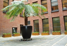 Plantbak met palm in beschutte kantoortuin