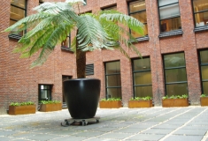 Plantbak met palm in beschutte kantoortuin