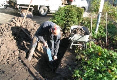 grondbewerking en verbetering voor aanslaan nieuwe haagplanten